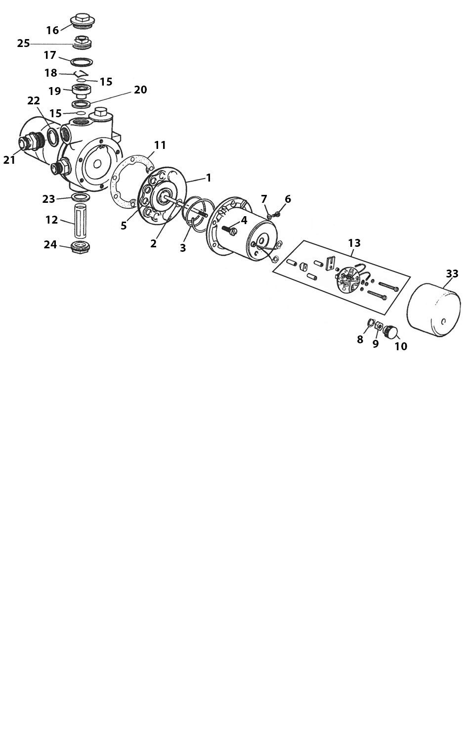 Dual LP Fuel Pump Electronic - Positive Earth